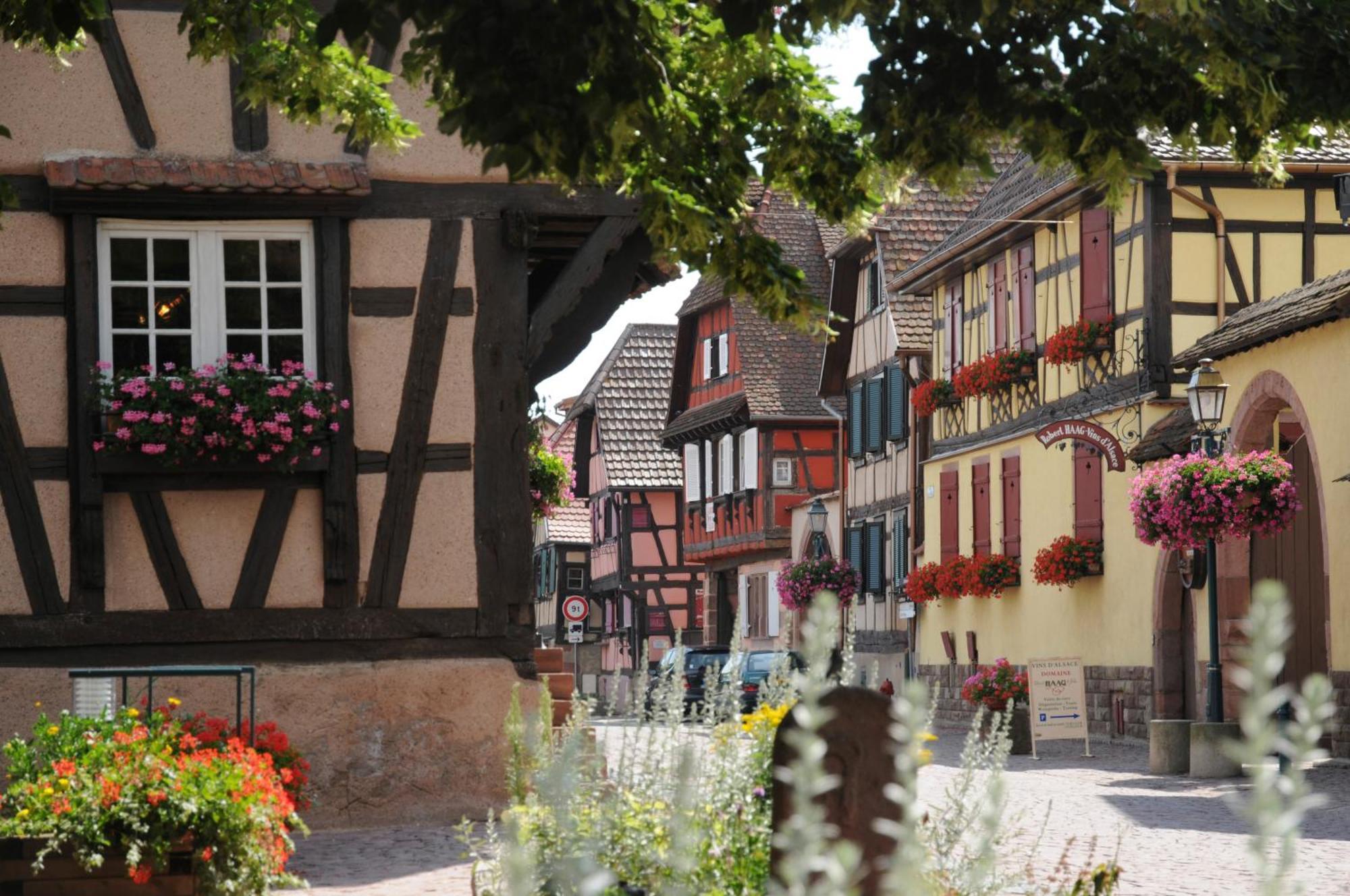Gite Chez Marie-Sarah Petite Maison Calme Parking Ebersheim Exterior foto